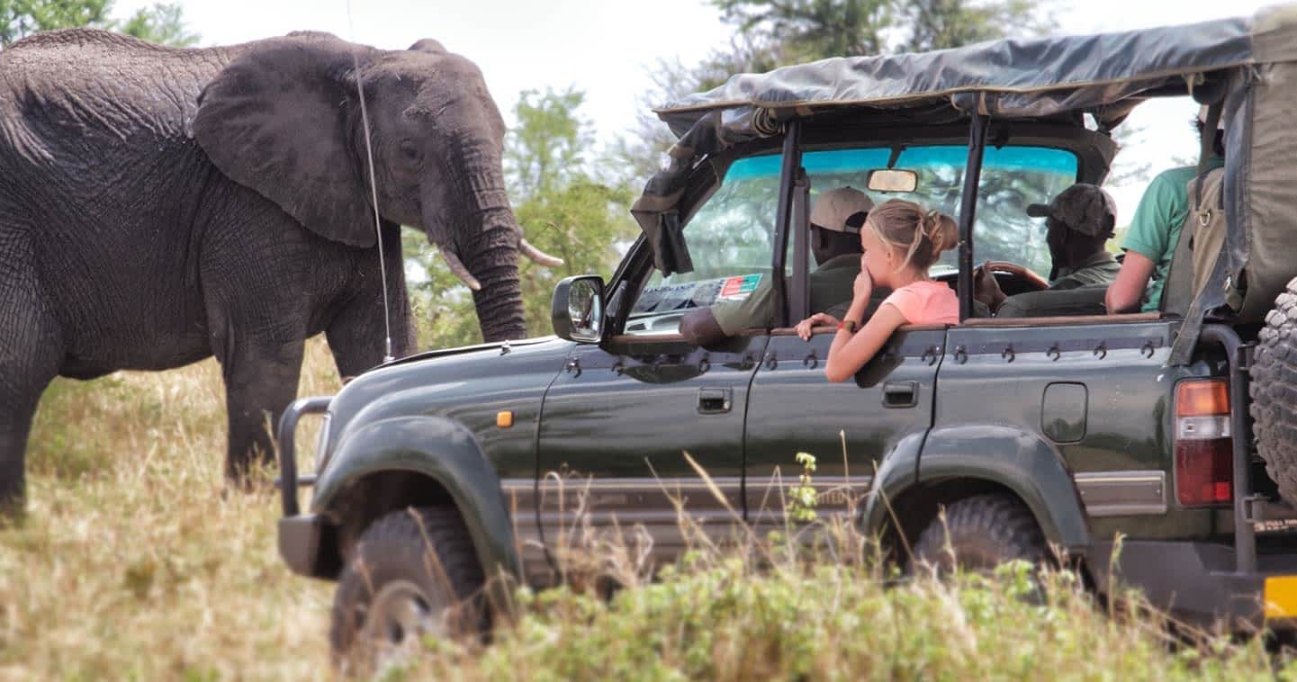 wildlifesafariserengetinationalparktanzania